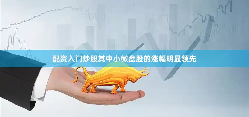 配资入门炒股其中小微盘股的涨幅明显领先