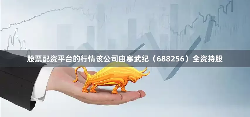 股票配资平台的行情该公司由寒武纪（688256）全资持股