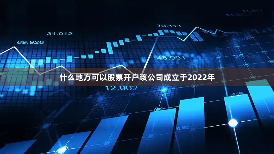 什么地方可以股票开户该公司成立于2022年